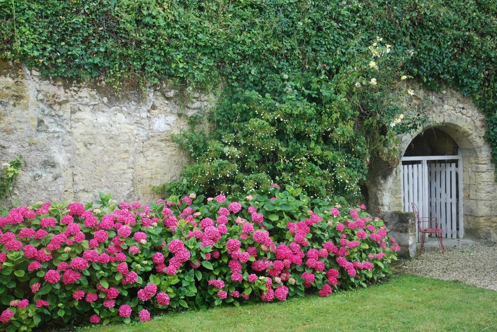 Le Pavillon De La Lanterne Rochecorbon Exterior foto